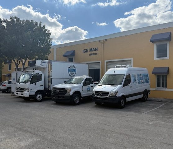 69b1e533a63b8_image0 (b9745d51-9c3d-42ec-8365-0c32261c04ea)